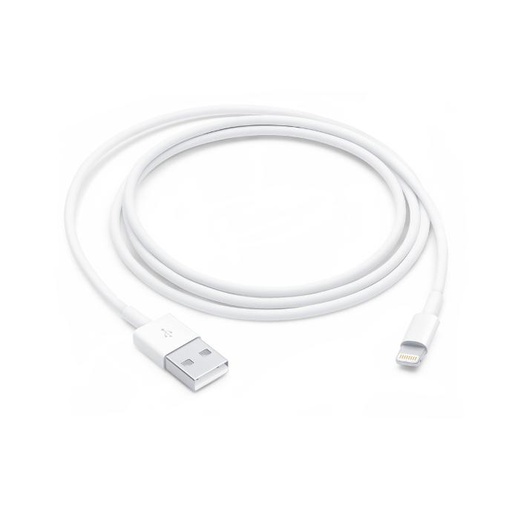 Apple to Lightning USB Cable (1m)